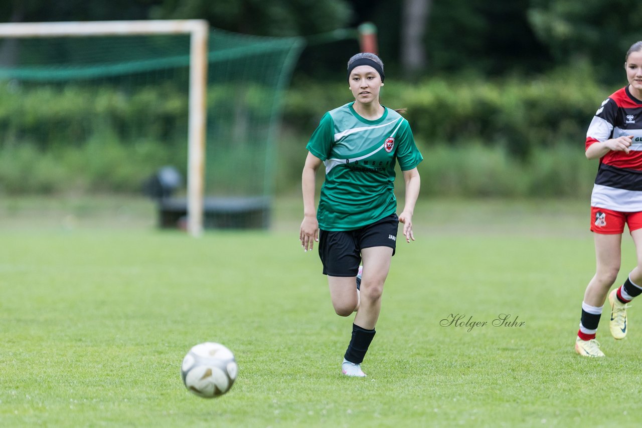 Bild 250 - Loewinnen Cup